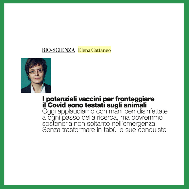 I potenziali vaccini per fronteggiare il Covid sono testati sugli animali