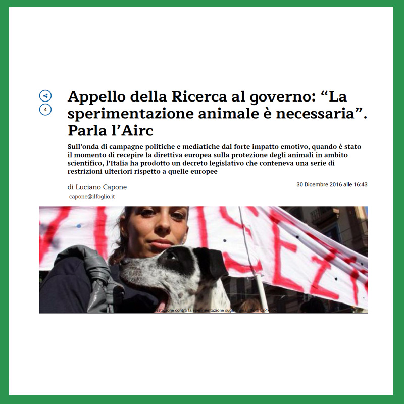 Appello della Ricerca al governo: “La sperimentazione animale è necessaria”. Parla l’Airc