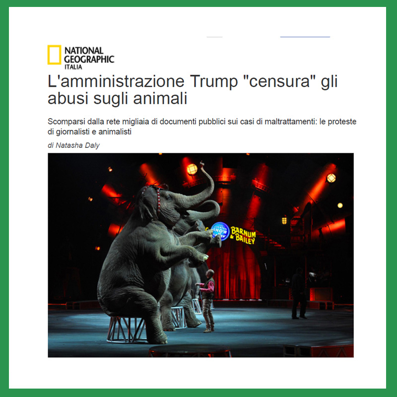 L’amministrazione Trump “censura” gli abusi sugli animali